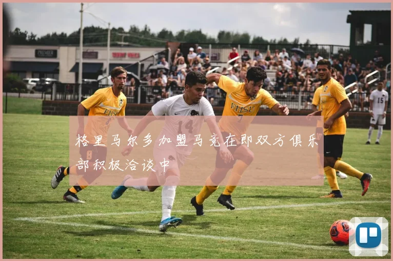 格里马尔多加盟马竞在即双方俱乐部积极洽谈中